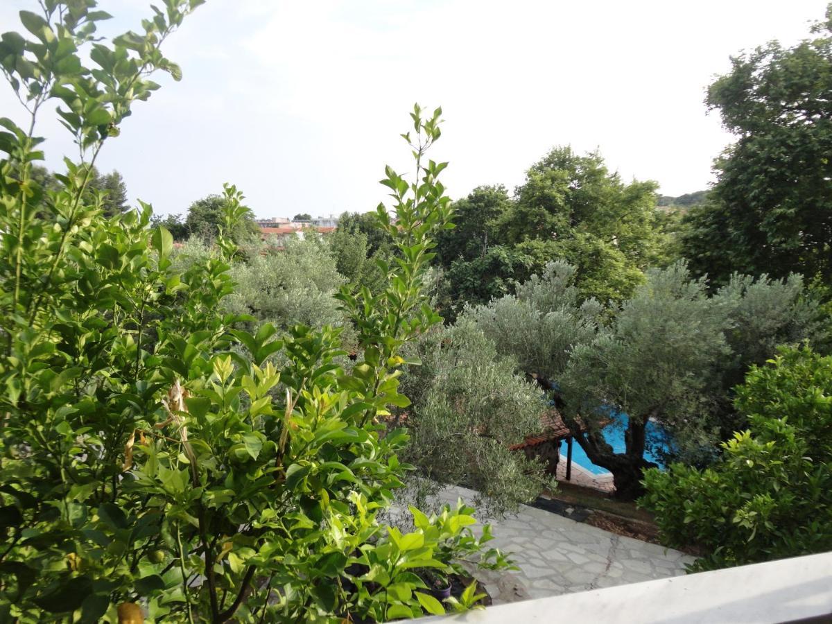 Makis House Hotel Nikiti  Exterior photo