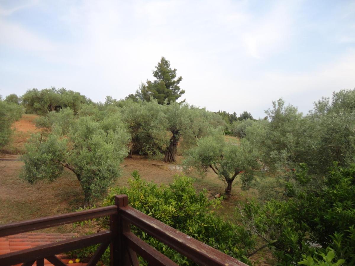Makis House Hotel Nikiti  Exterior photo