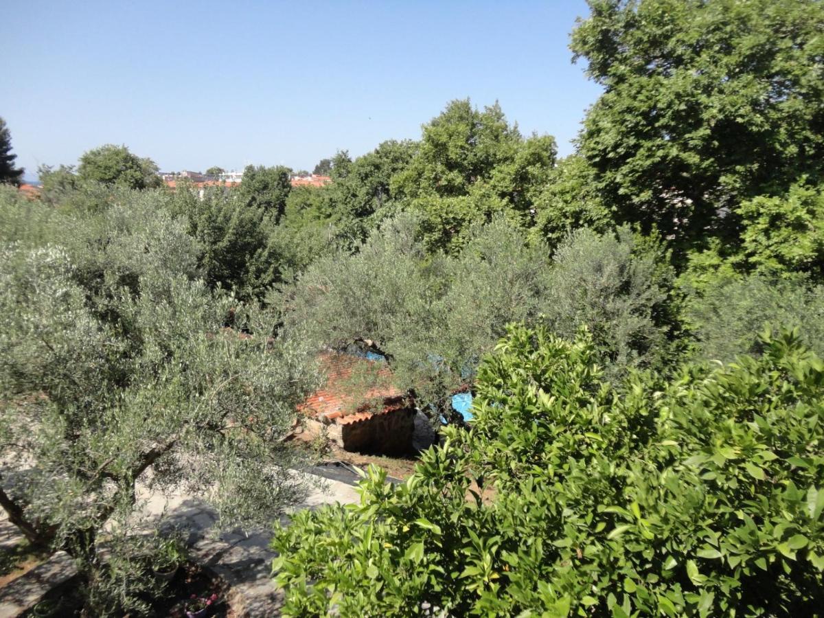 Makis House Hotel Nikiti  Exterior photo